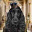 KING PADDY
