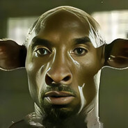 爱玩原的素食主义女权