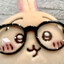 usagi