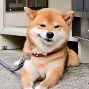 鲜衣怒马芙蓉王