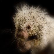 Porcupine