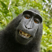 DK DONK BAIANO ♛ ⁧⁧🎮