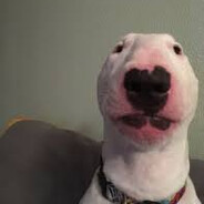 Empty_Dogo