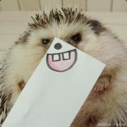 P@2л