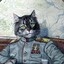 Commander Kitten