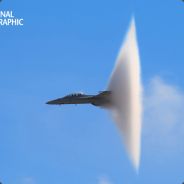 Kingbrianbear - steam id 76561197964523110