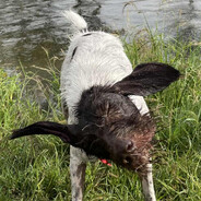 krushar - steam id 76561198109214137