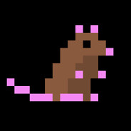 Syn stoky Rat :)