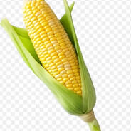 King Corn