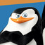 Skipper