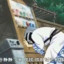 阔叶林