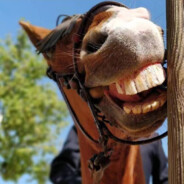 今天小田要学习