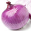 Aqua Onion