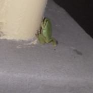 Rares💪PoWeR💪💪