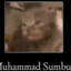 muhammad sumbul