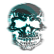 venn's avatar