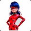 ladybug_204