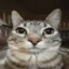 VSN.fastpooper