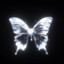 Butterfly Effect ♡