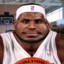 LeBronzeJames