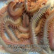 новая валидная ка