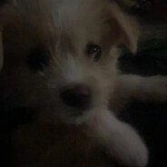 团结一致，解放全银河