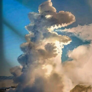 狗熊岭悍匪熊二