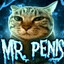 💨🔥♿Mr. Penis Official™