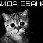 я катя
