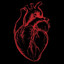 Vanter _