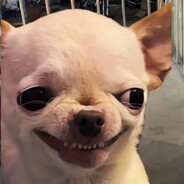 𝓔𝓵𝓲𝔃𝓪𝓫𝓮𝓽