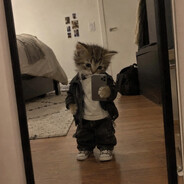 Avatar snapshot