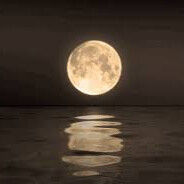 Y@kam0z - steam id 76561199220638402