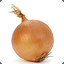 The_little_onion