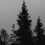 empty