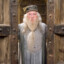 Albus Doubledoors