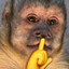 MONKYツ