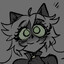 weird cat
