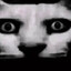 The Creature