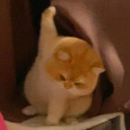 我也想和你们一样强