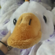 凌霄花和逍遥客