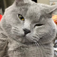 我知道你急但是你先别急等会有你好急的