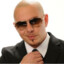 Pitbull
