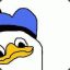 Dolan