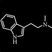 xep ムッシモール