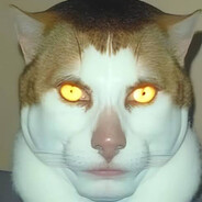 Matatabi_Cat