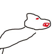 田中マルクス闘莉王