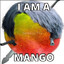 MangoEsPeRo