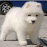 人體描邊大師在線放水你都赢不了真的很失败