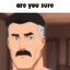 are you sure?